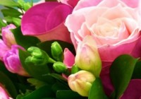 Save 10% on Flowers at Bunches!
