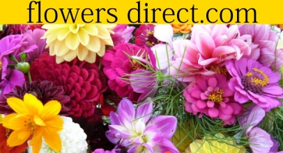 DISCOUNT AT FLOWERS DIRECT
