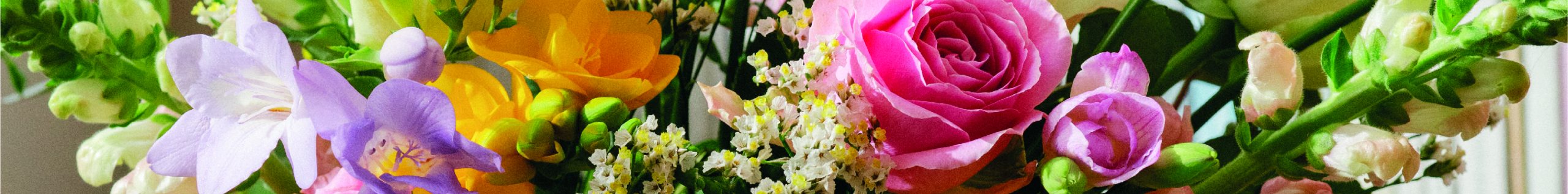 bloom and wild flowers 