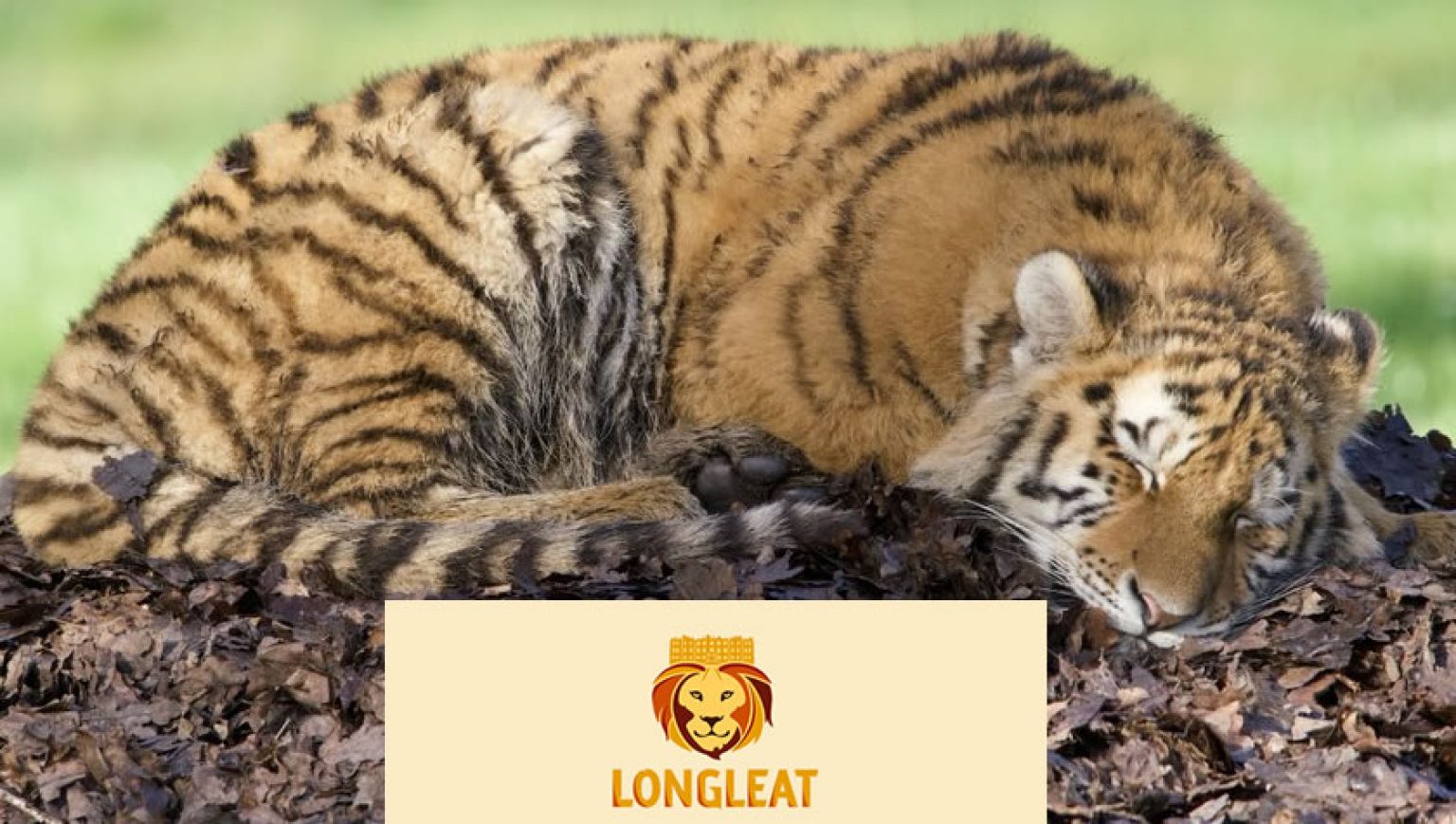 Longleat NHS Discount Vouchers and Tickets
