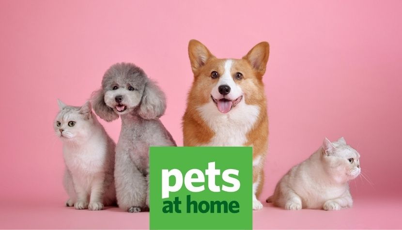 Pets at Home Hero