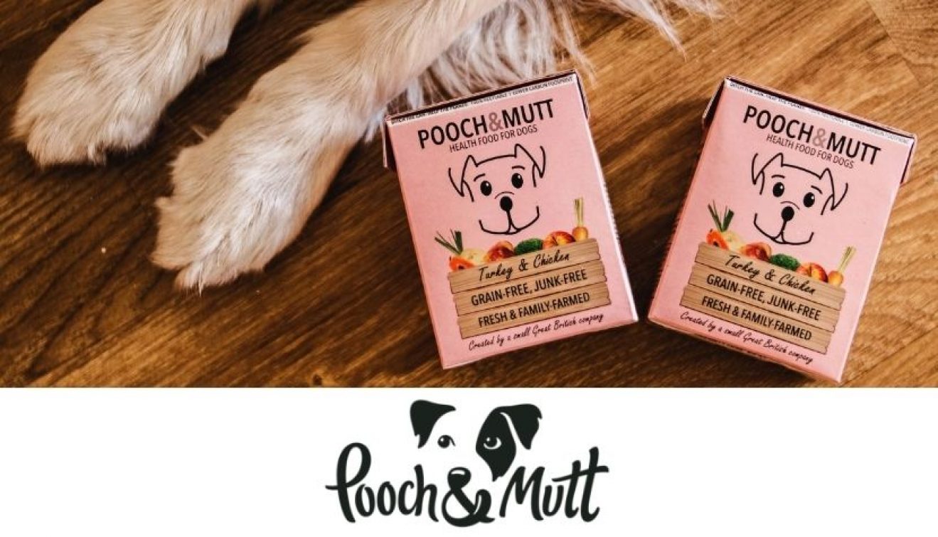 Pooch and Mutt Money Saving Tips for Your Next Orde