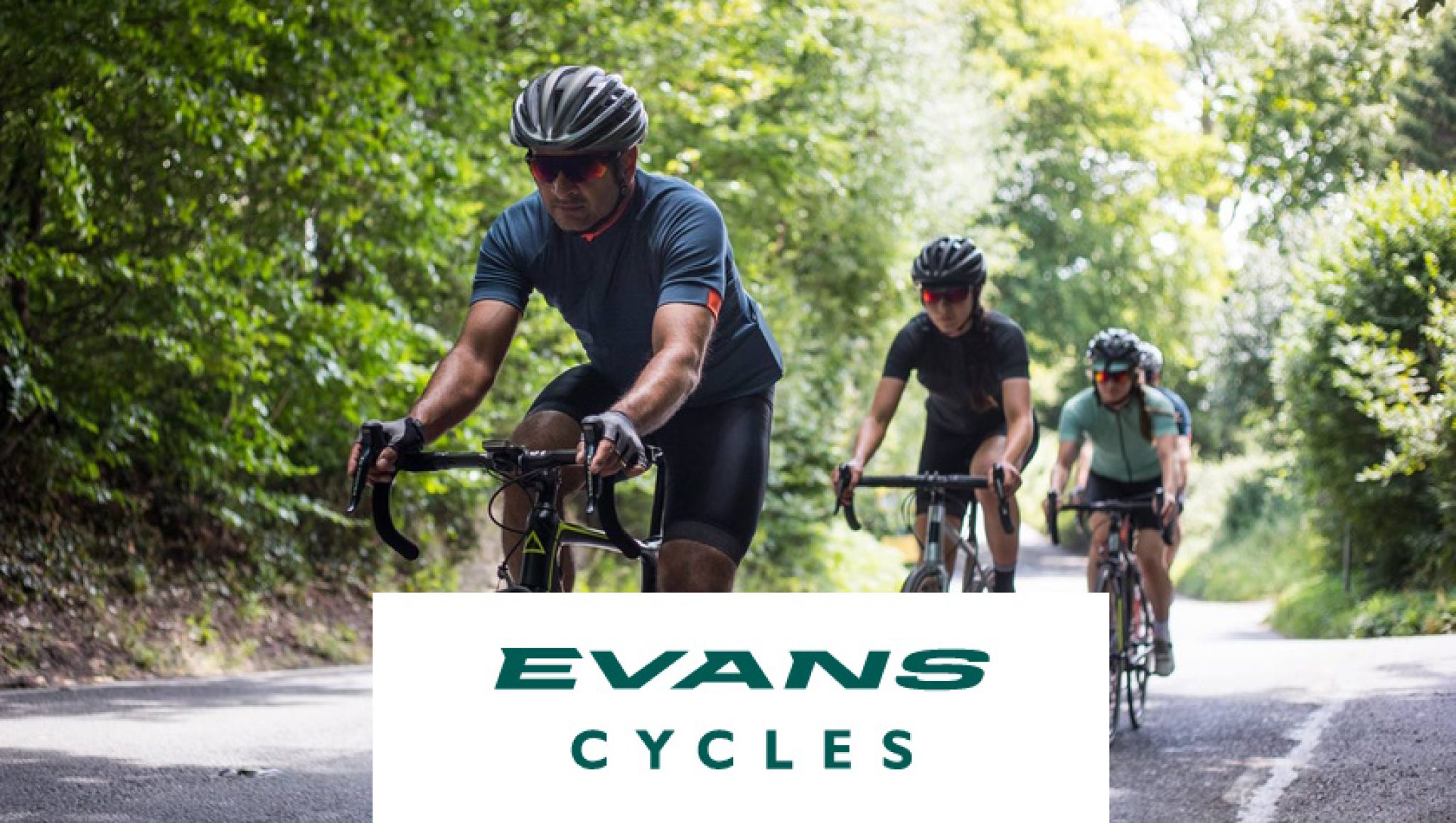 evans cycles login
