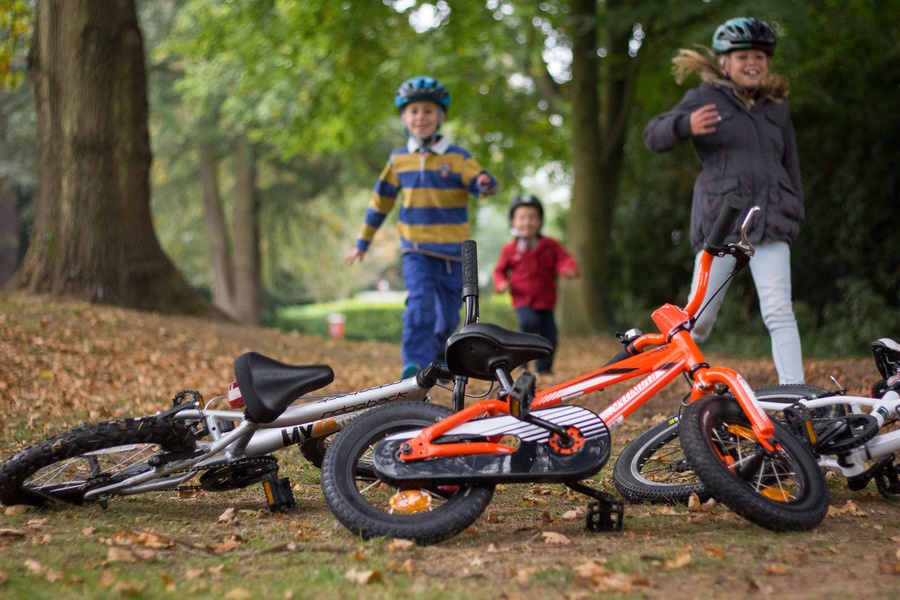 Vitality evans sales cycles discount