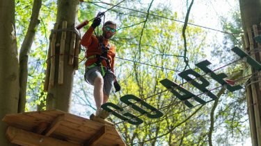 GO APE