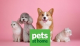 Pets At Home NHS Discounts – Is the 10% NHS Discount on cat and dog products still running?