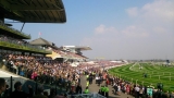 Grand National Free Bets Offers for NHS Staff, Friends & Family + Our Tip!
