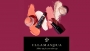 30% Discount at illamasqua for NHS