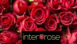 InterRose – NHS Discount and Savings