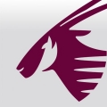 FREE Flights on Qatar Airways