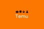 TEMU ‎£100 coupon bundle